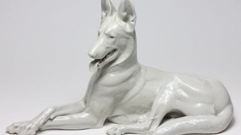 Ralph Rayner also recovered a porcelain Alsatian from Hitler's bunker that was made by slave laborers in Dachau concentration camp.