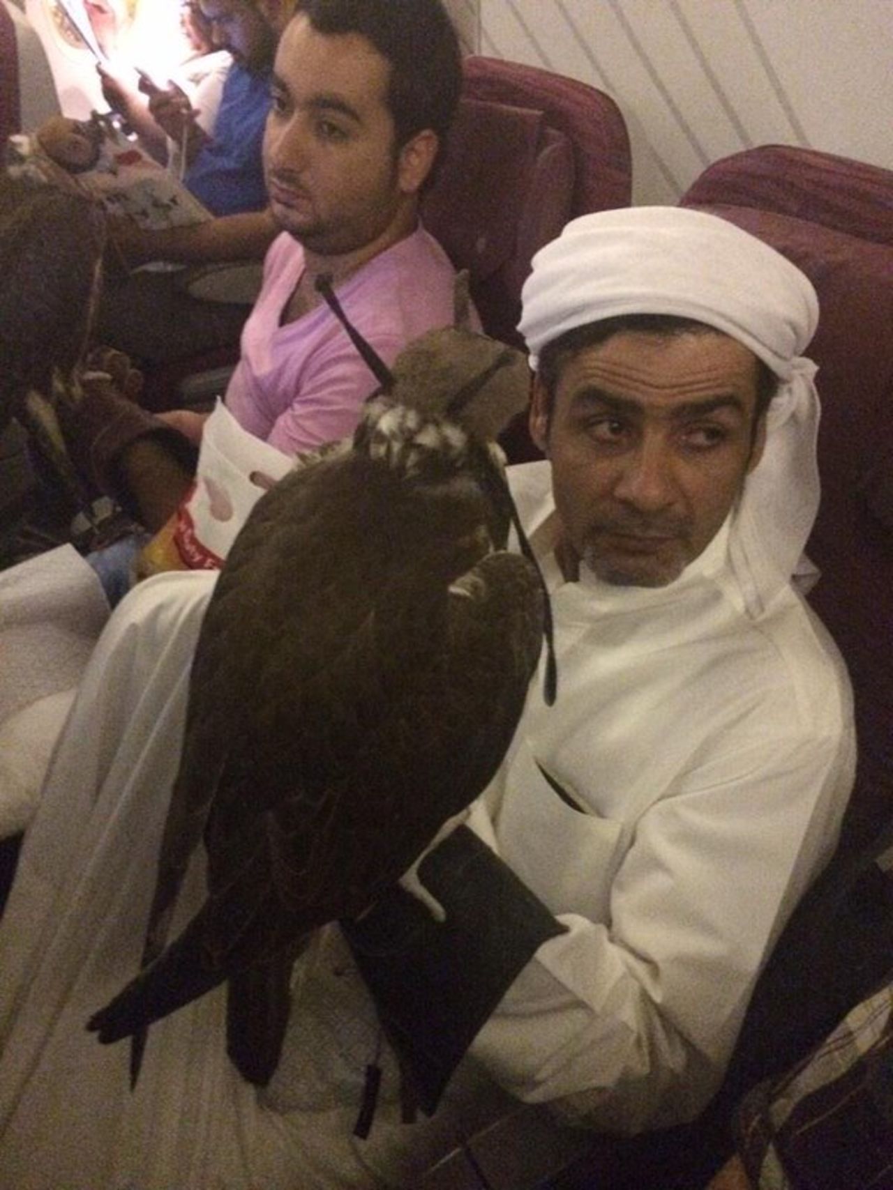 Qatar, Etihad, Emirates and Royal Jordanian Airlines allow falcons in their cabin area.