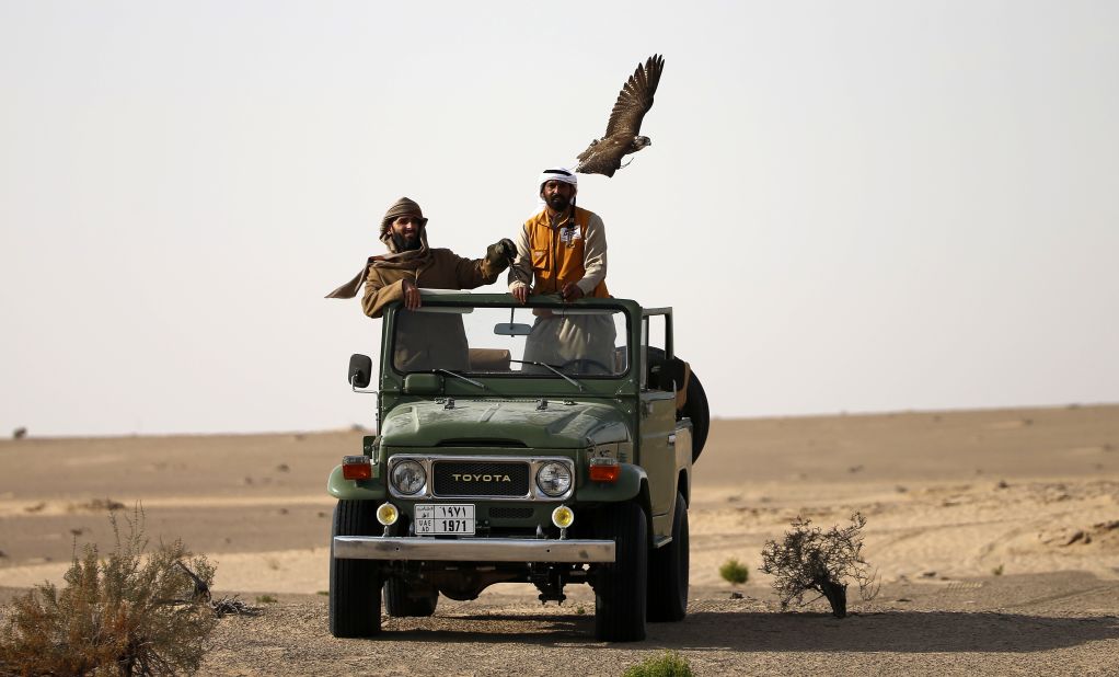 Falconers in their four-by-four vehicle follow a hunting falcon at Al-Marzoom Hunting reserve, 150kms west of Abu Dhabi. The sport dates back thousands of centuries and has become such a significant part of the region's culture.