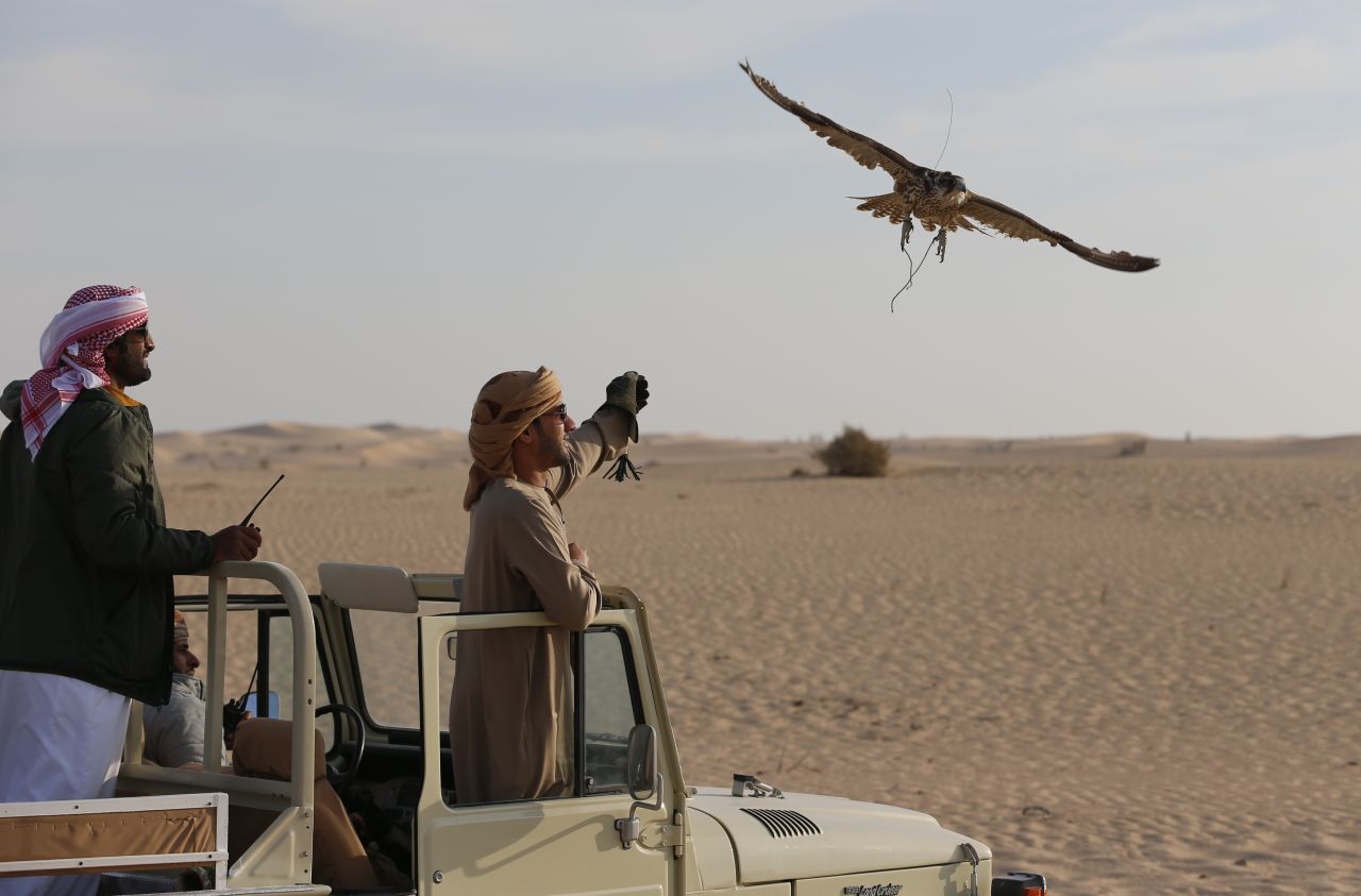 The birds can cost anywhere between 2,000 dirhams ($544) and 70,000 dirhams ($19,058), according to <a href="https://twitter.com/NasifKayed" target="_blank" target="_blank">Nasif Kayed</a> from<a href="http://thearabculturalist.com/" target="_blank" target="_blank"> The Arab Culturalist</a>.