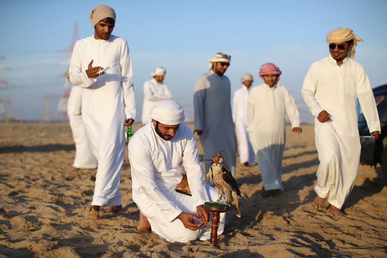 Falconry today has become more of a national sport and a rite of passage for many young Emirati men, who take their time to train their Falcons.