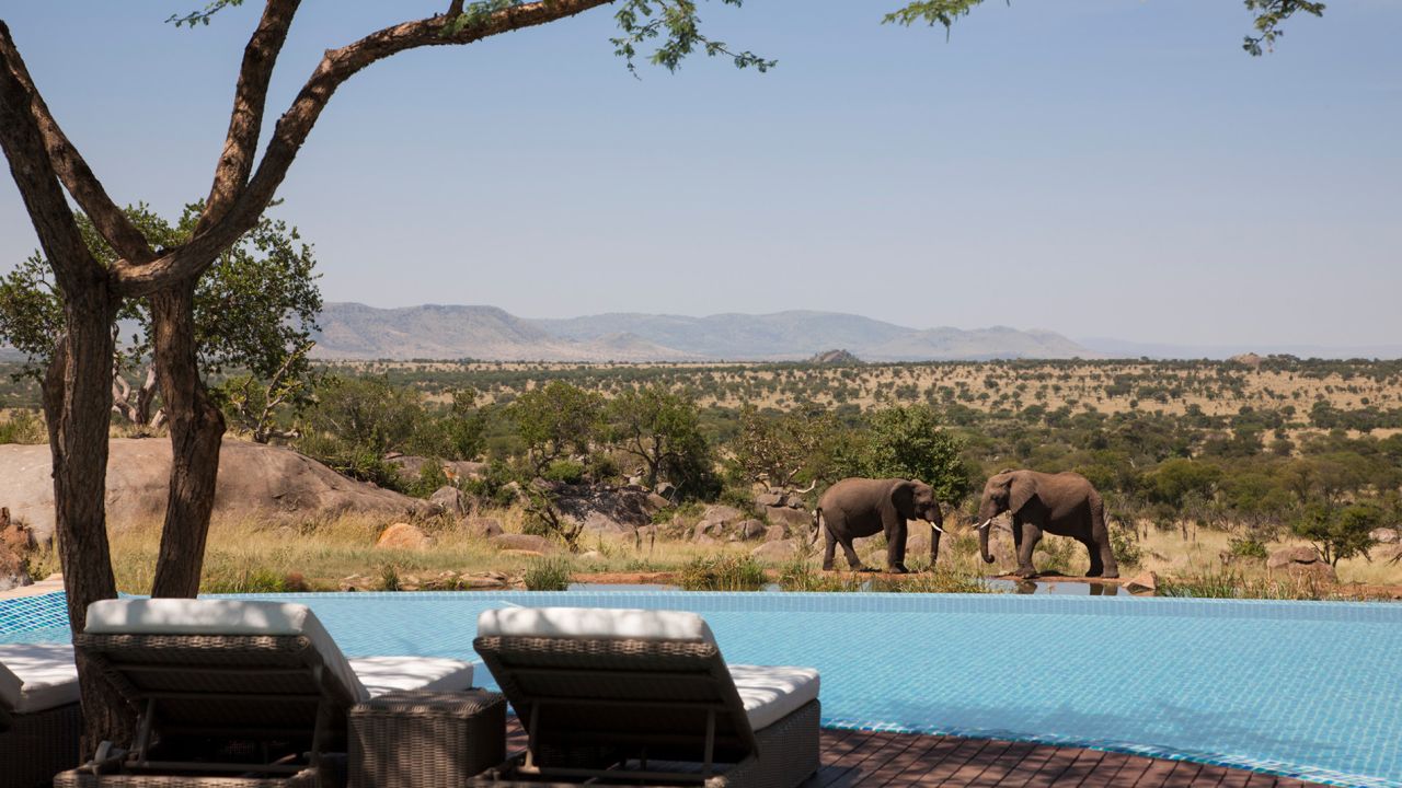 <strong>A 'Romantic Seven' safari in the Serengeti: </strong>Forget the African big five, Tanzania's Serengeti National Park offers an alternative safari focusing on the "romantic seven" -- the park's most affectionate souls.