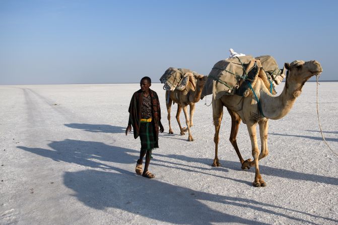 To lighten the load and create more space for salt, this miner leads his camel by hand. 