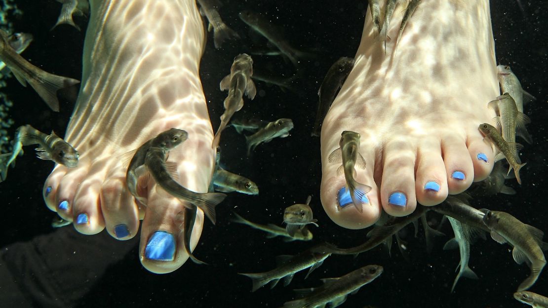 The only time sticking your feet into a bunch of fish makes them cleaner. 