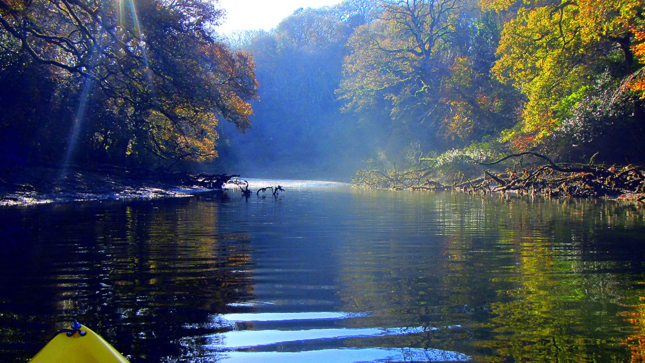 A mix of adventure and romance inspired by Daphne du Maurier's "Frenchman's Creek."