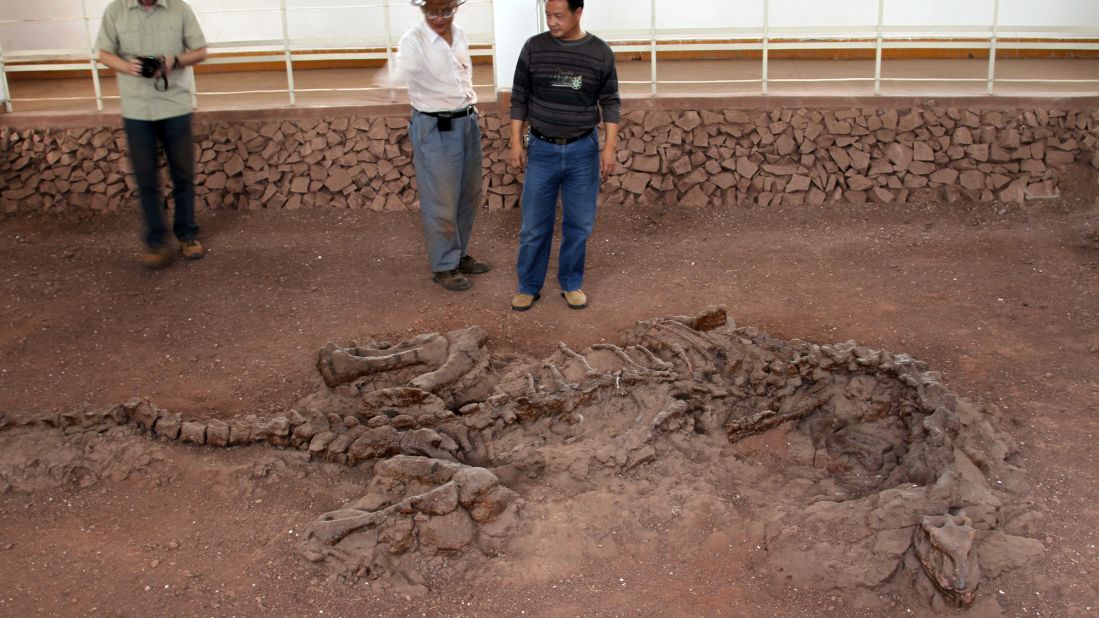 The fossil of 195-million-year-old dinosaur Lufengosaurus preserved as found in the ground in Yunnan Province, China. Researchers discovered ancient collagen and protein in one of its ribs. 