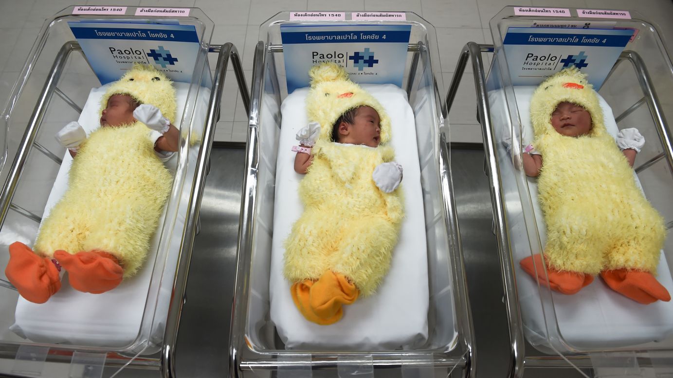 Newborn babies, dressed as chicks to mark the Year of the Rooster, sleep at a hospital in Bangkok on Friday, January 27.