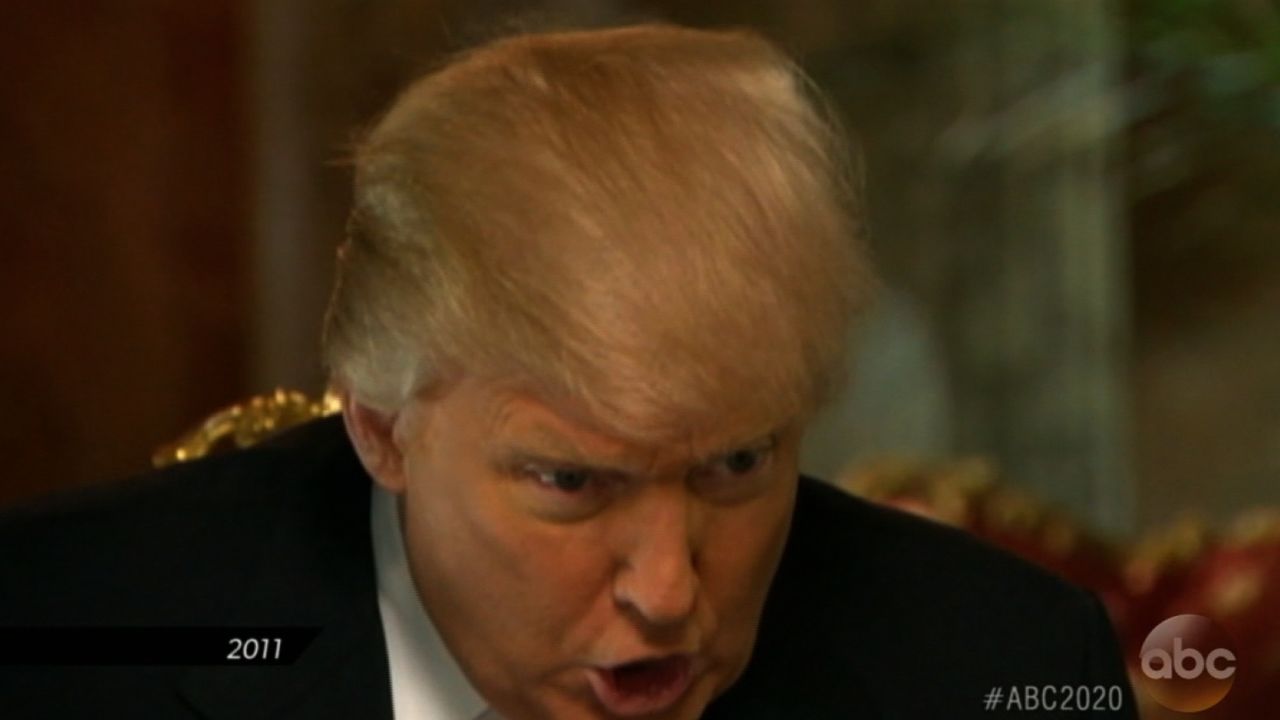 Trump's hair 01