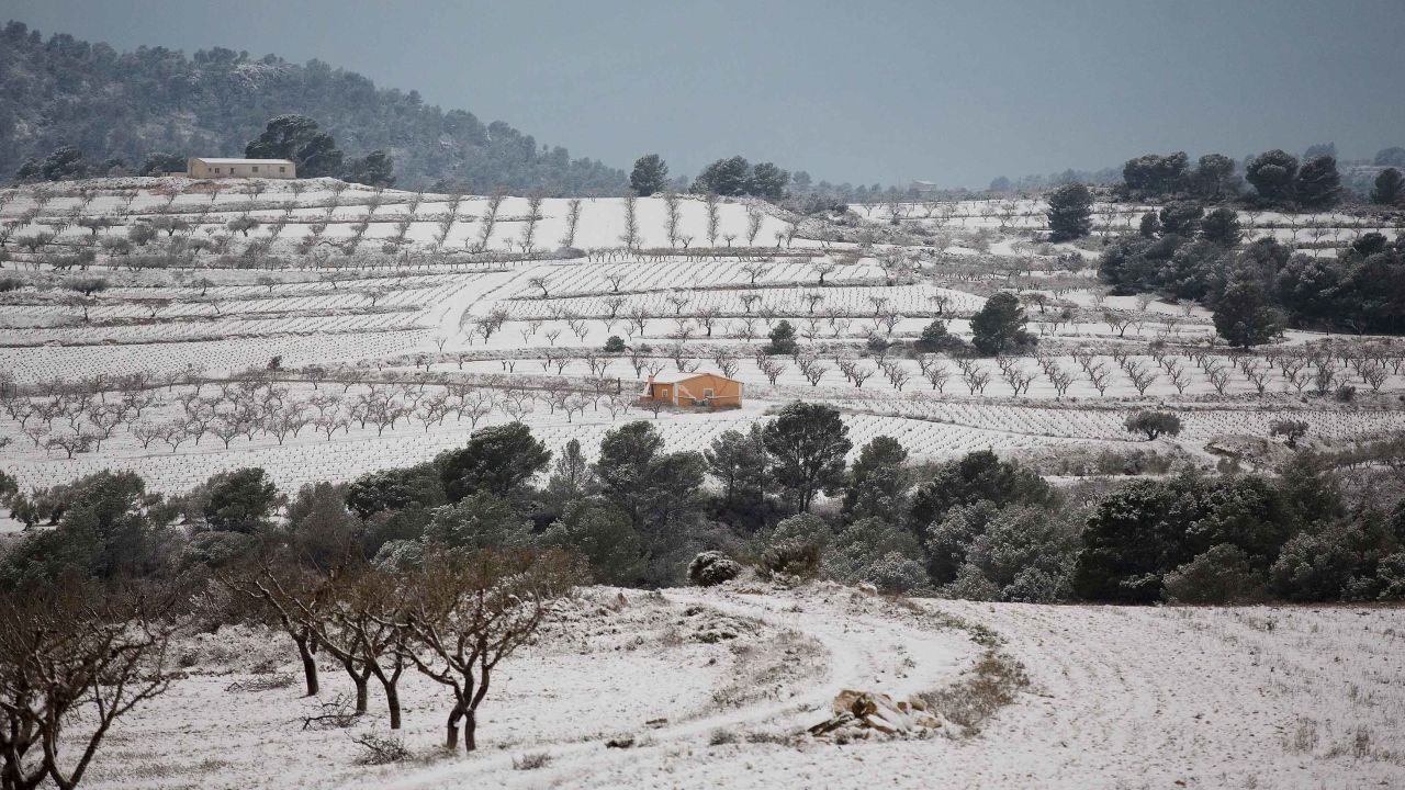 Spain's Murcia province has seen heavy snowfall for the first time in decades. Many crops have been ruined.