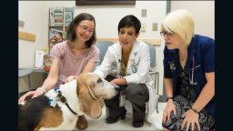 Nicole Ehrhart, center, and Dr. Anna Conti, left, and student Kelsey Parrish with Conti's Basset hound, Picasso, who had surgery for cancer. Via Colorado State University.