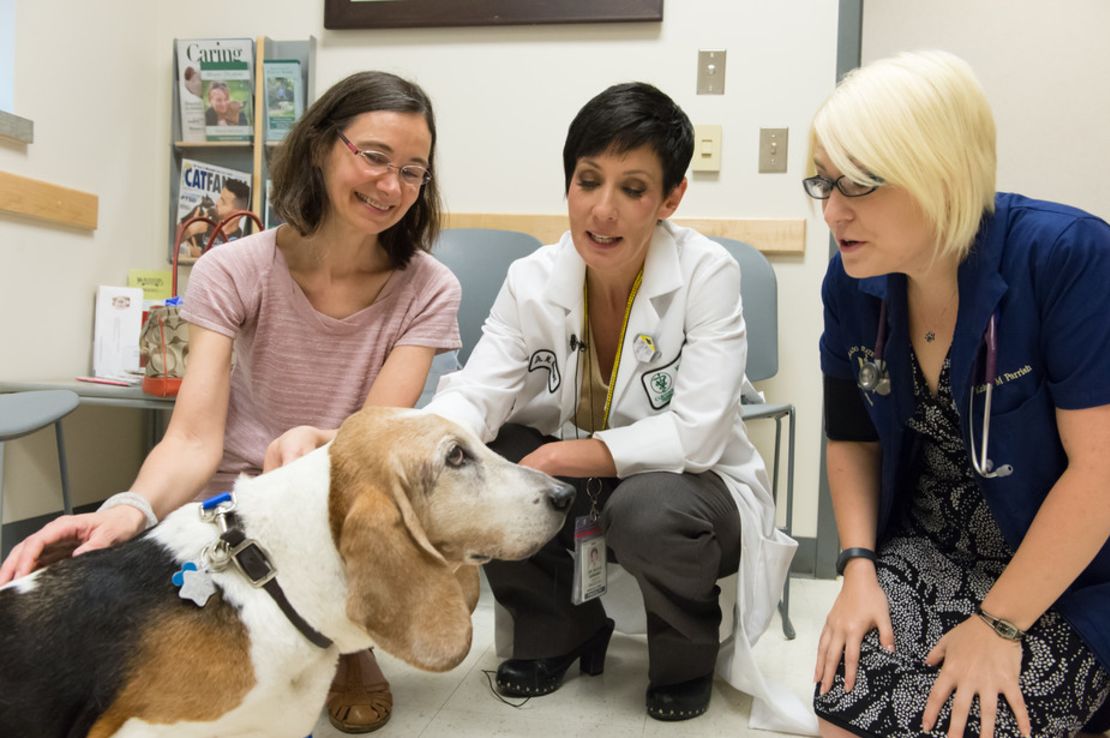 Dr. Nicole Ehrhart, center, Dr. Anna Conti, left, and student Kelsey Parrish with Conti's Basset hound, Picasso, who had surgery for cancer.