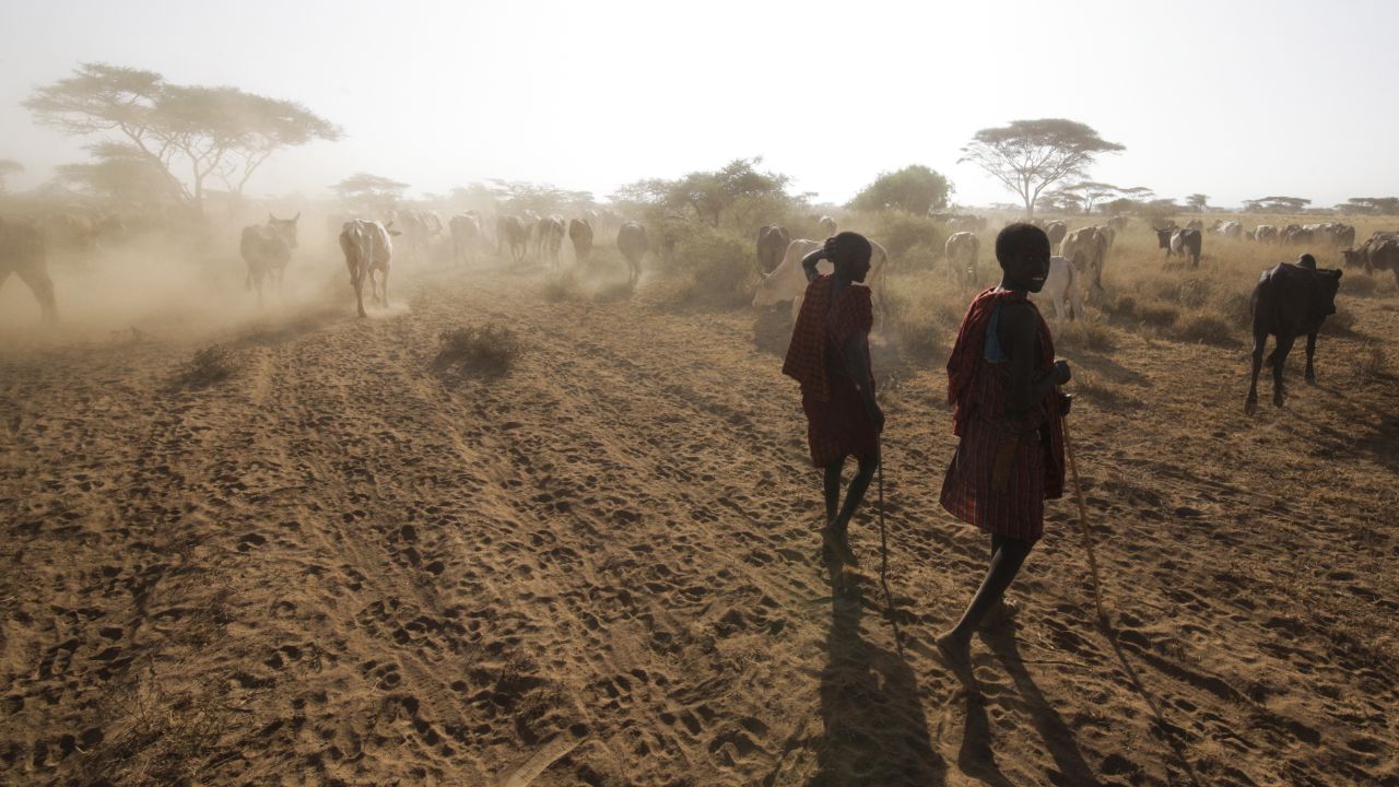 RESTRICTED maasai tanzania wildlife warriors 13