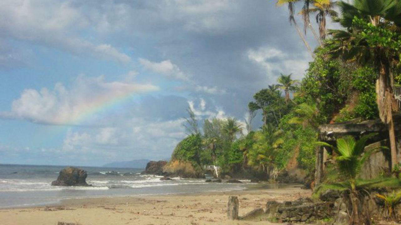 <strong>Blanchisseuse Beach, Trinidad:</strong> Katelyn Smith, founder of The Remote Nomad, suggests heading to this beach in Trinidad to see baby turtles, surf, eat seafood and pick up some local slang.