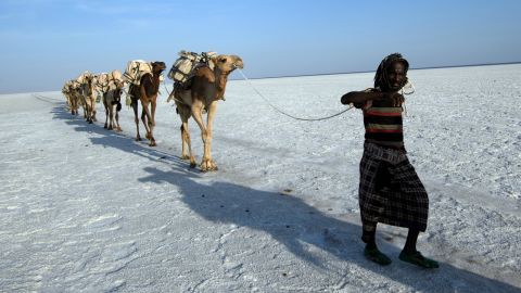 An Afar man, the people who live in the Danakil region, leads a line of camels along the salt plains. 