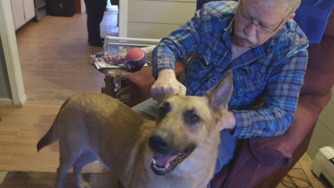 Ken Job pets his service dog, Jeb.