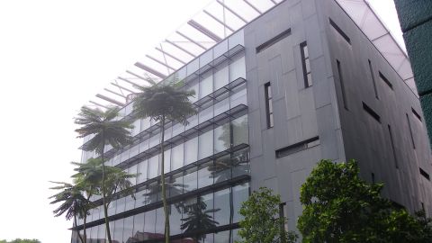 Bishan Library is designed to resemble a tree house.