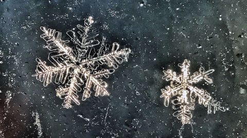 snowflakes close