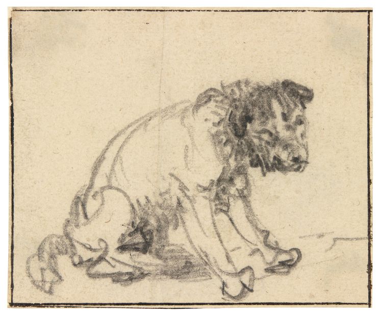Rembrandt's drawing of a dog has been in the collection of the Herzog Anton Ulrich Museum in Braunschweig, Germany, since 1770, but was long thought to be the work of a different artist.