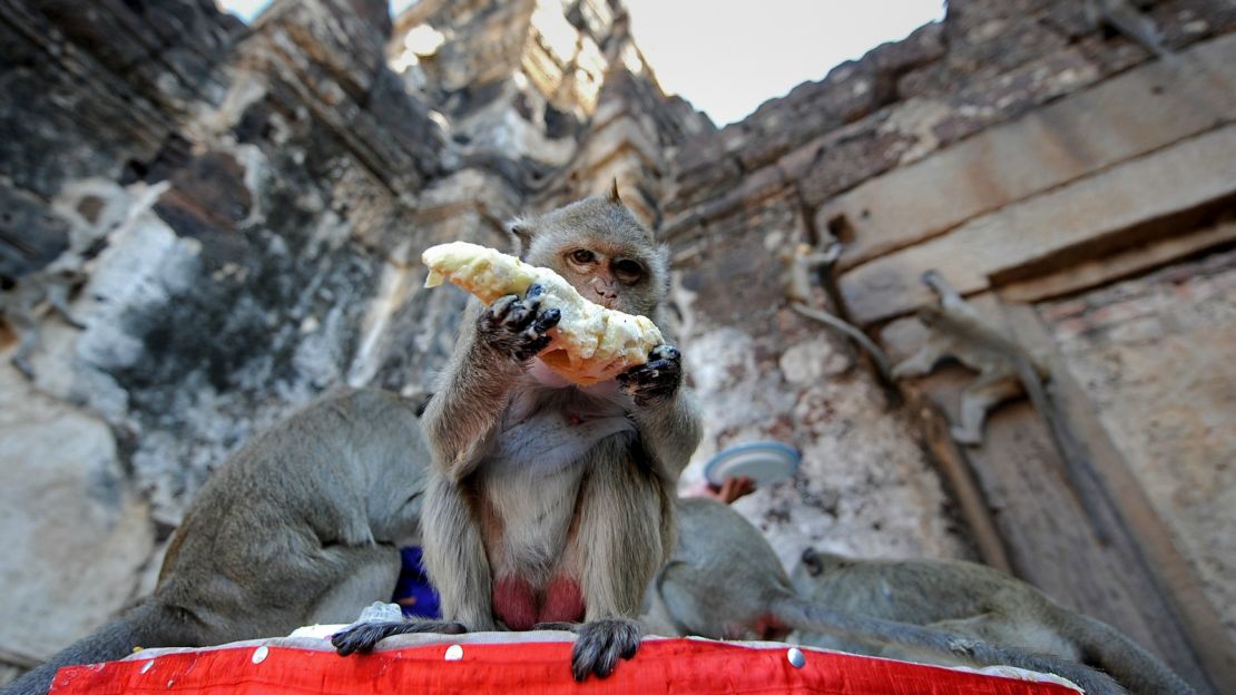 The poor, misunderstood durian has been banned from many a Southeast Asian venue. 