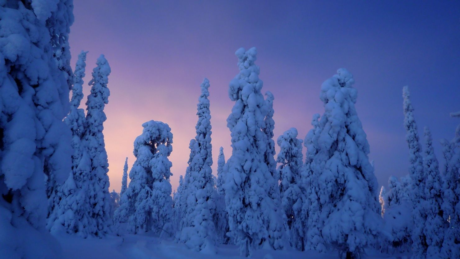 Explore the stunning scenery of Finnish Lapland.