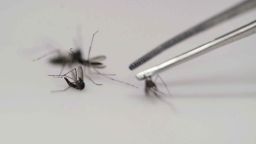 02 malaria zika mosquito bite prevention