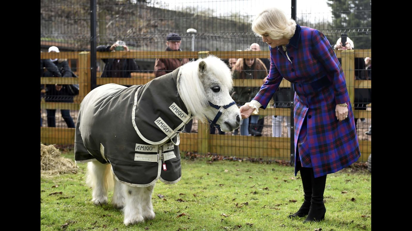 Camilla, the Duchess of Cornwall, greets Pedro the Shetland pony during a visit to the Ebony Horse Club in London on Thursday, February 16.