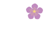 Food Snap Japan