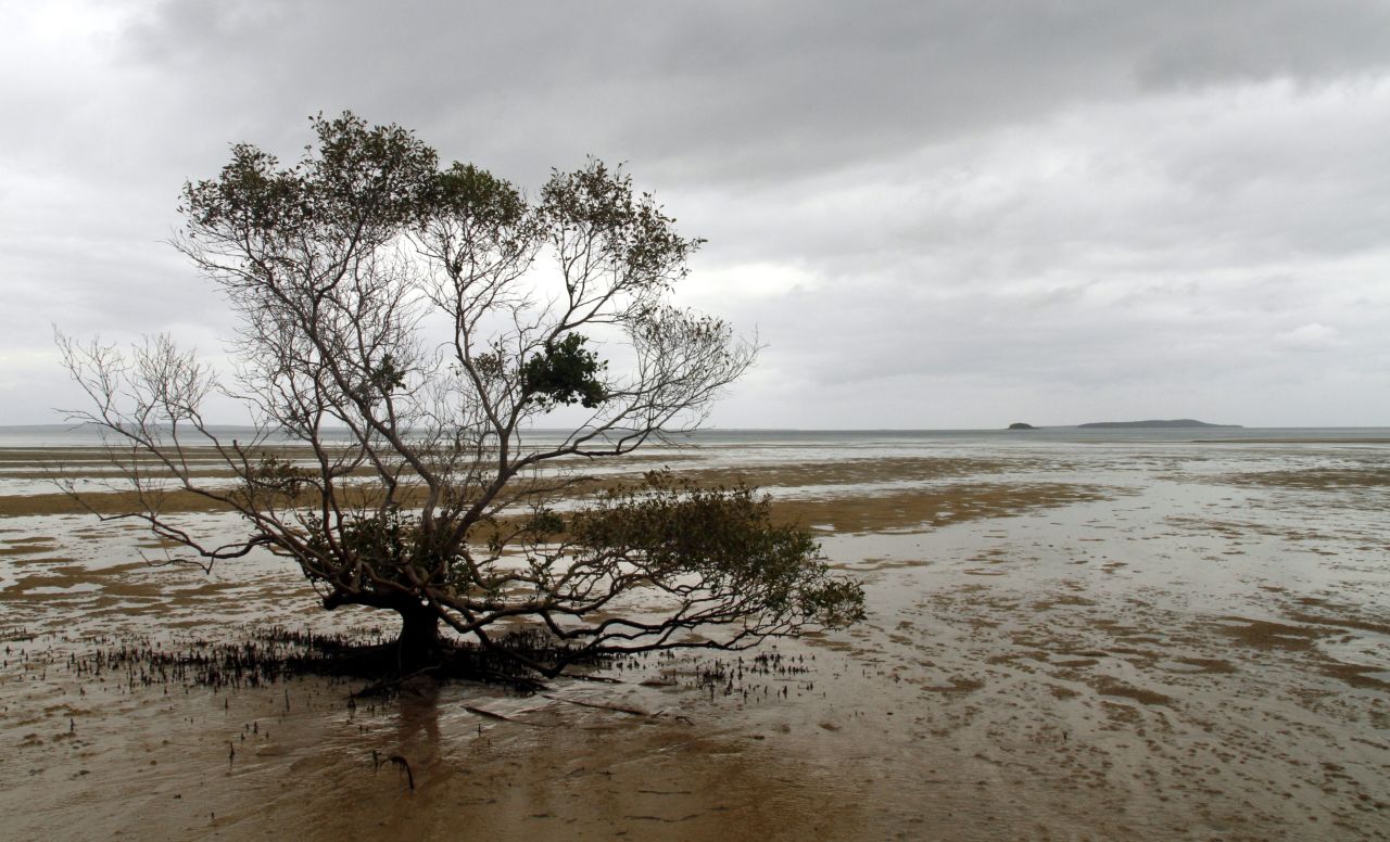Atmospheric views at Fraser Island.