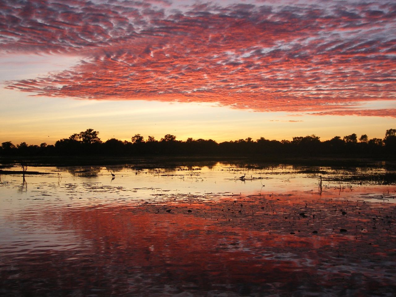 Explore the biodiverse nature reserve at Kakadu National Park.