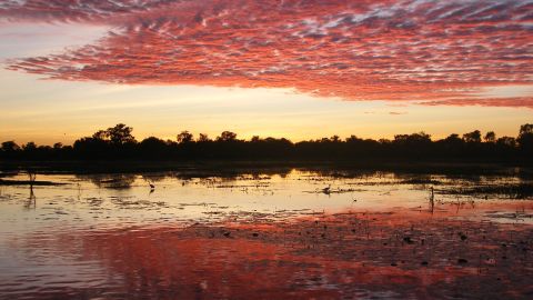 Explore the biodiverse nature reserve at Kakadu National Park.