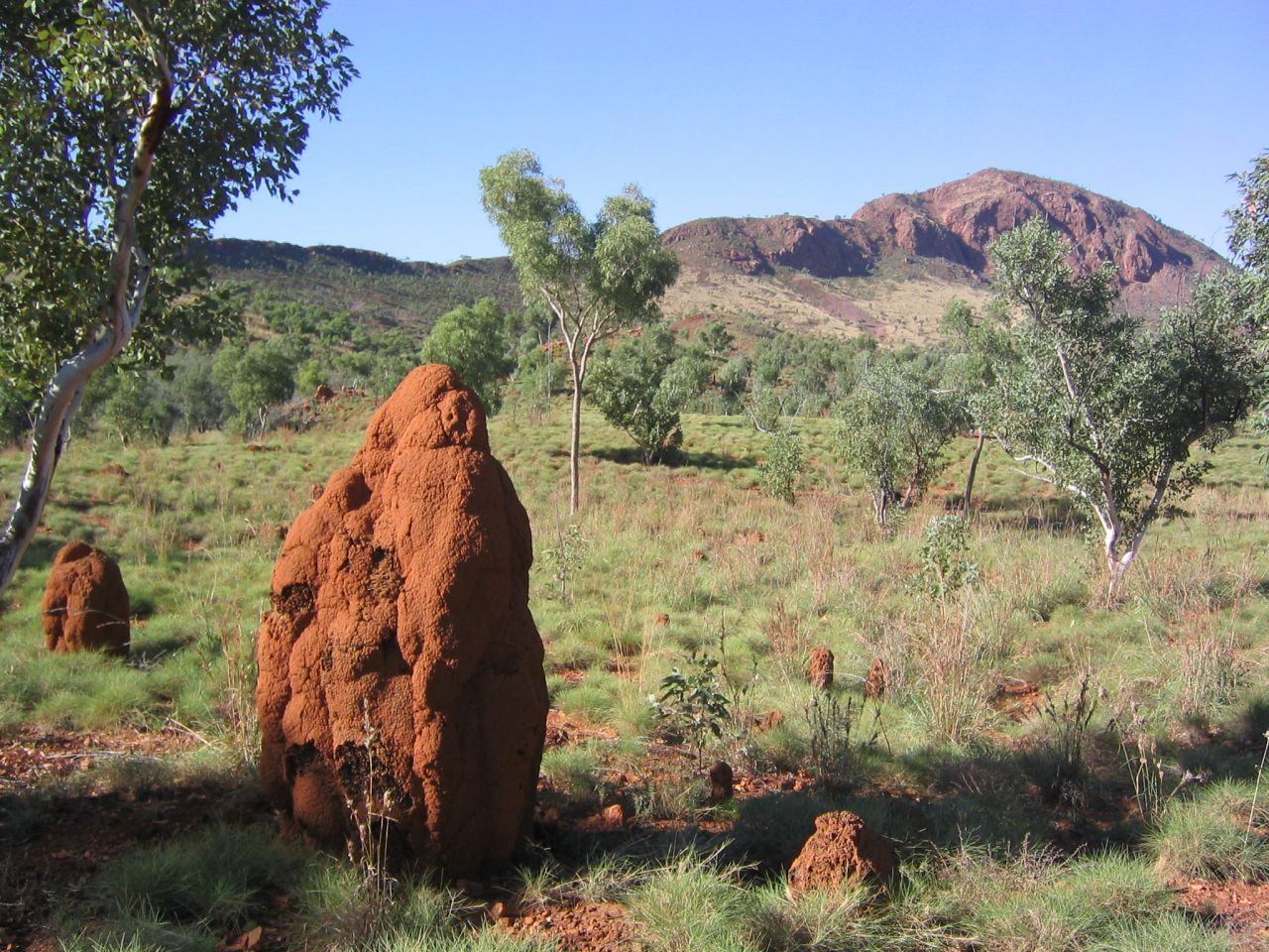 The remote Pernululu National Park.