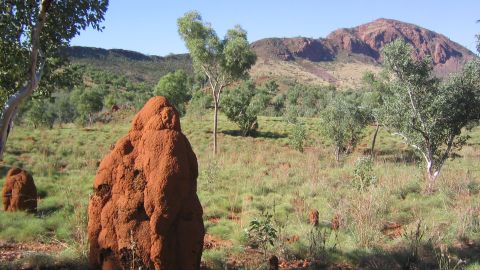 The remote Pernululu National Park.