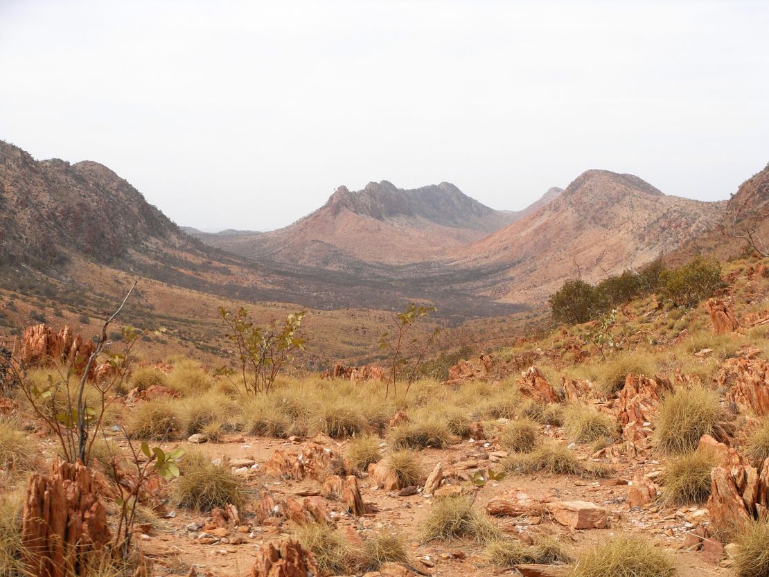 Trek through rugged landscapes on the Larapinta Trail.