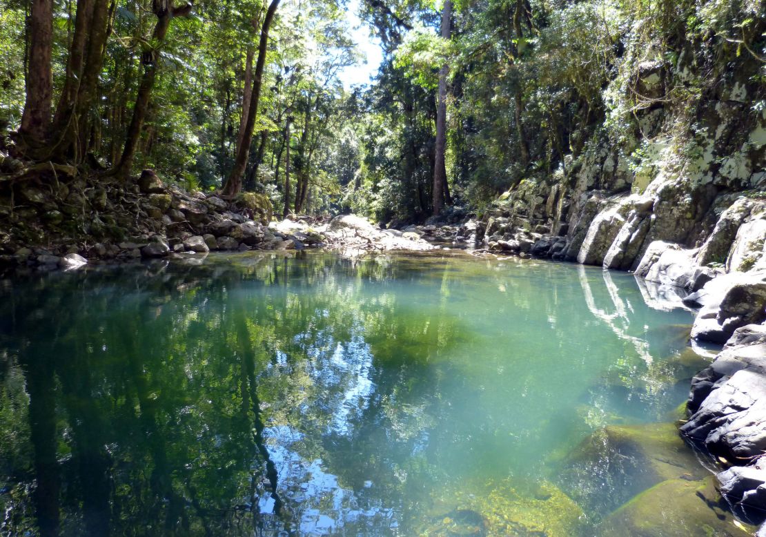 The Gwangorool Pool, Binna Burra.