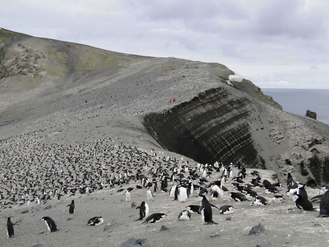 On Deception Island, Pardo fondly remembers the "highways of penguins" following one another along certain paths. It's easy to tell which direction they're going depending on whether their black or white side is visible, she explains.