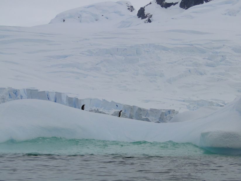 One of the most magical moments for Pardo was a zodiac cruise between icebergs. "We had no words to describe the beauty, scale, sounds, colors, shapes of the icebergs we saw and the ambiance we felt," she says.<br />