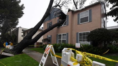 A Los Angeles apartment building is damaged after a 75-foot-tall tree crashed into it on Friday, February 17. 