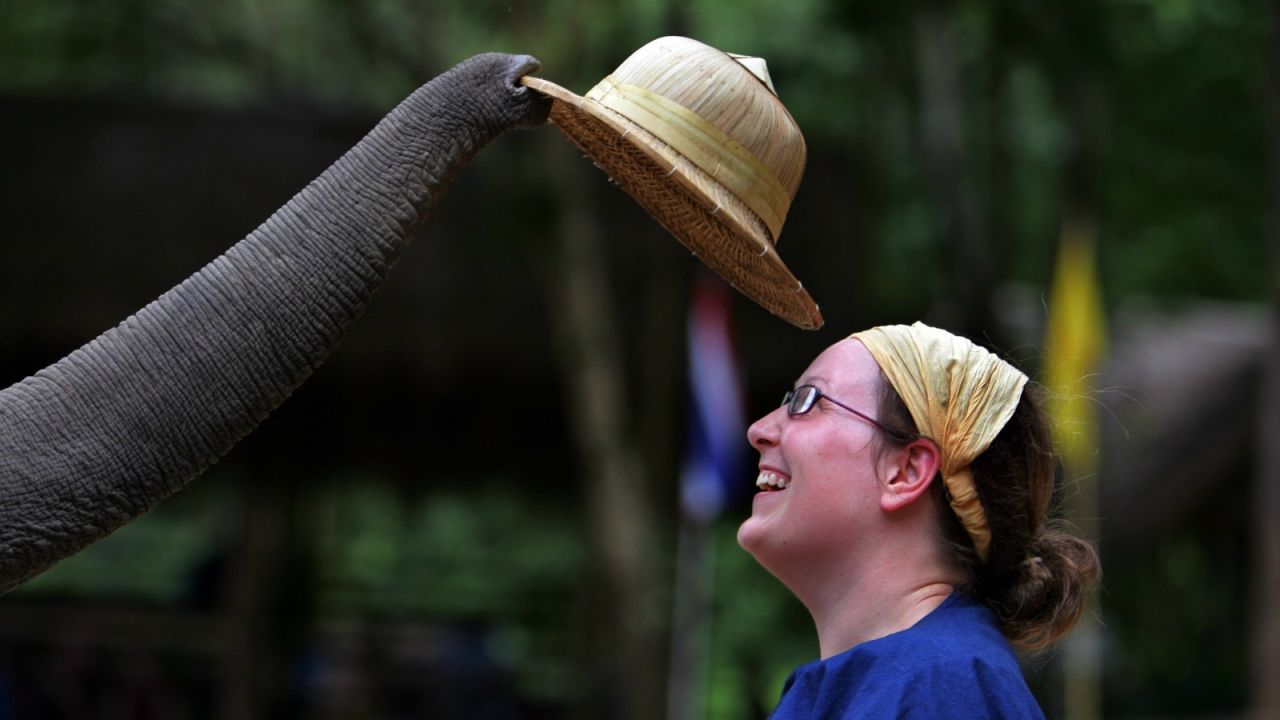 Hats off to the Thai Elephant Conservation Center.