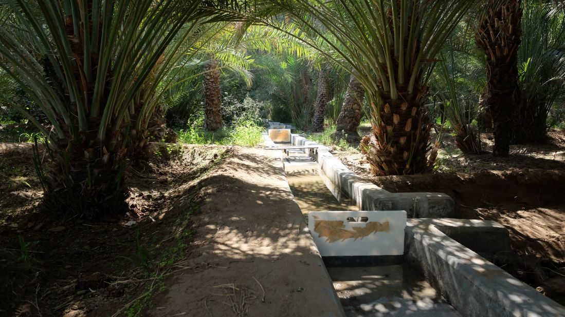 <strong>Oasis waterways: </strong>Gently sloping irrigation channels known as <em>falaj</em> are used to bring water from cisterns to thirsty palm trees. 