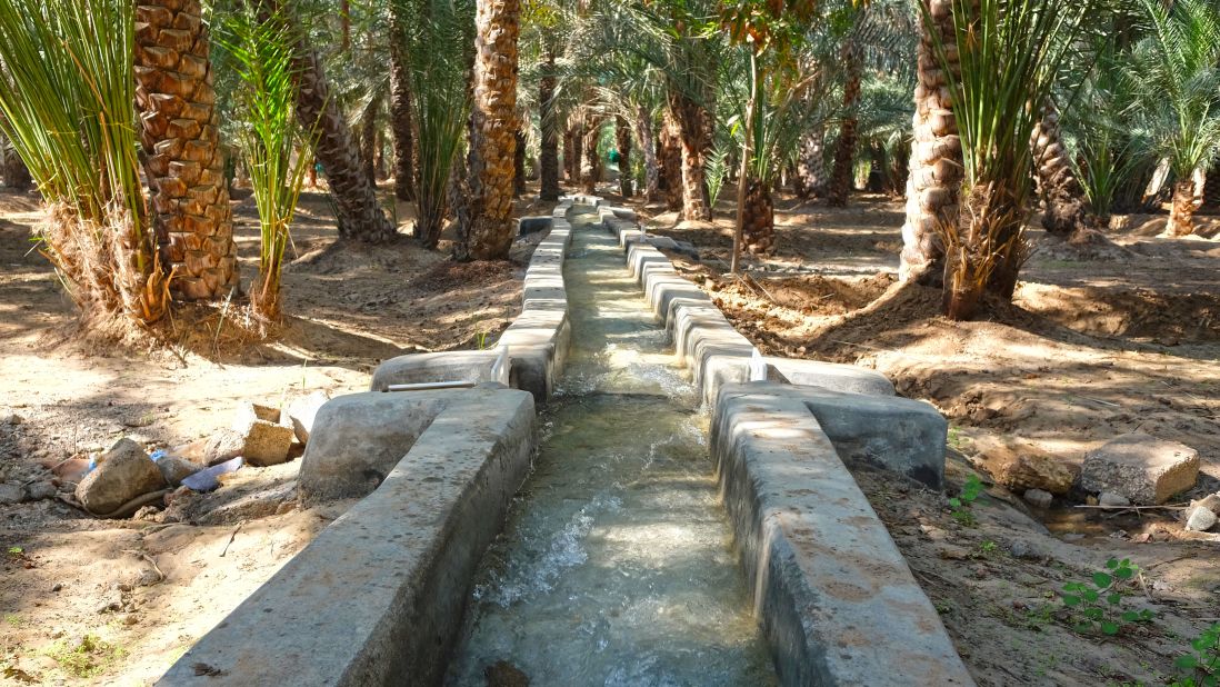 <strong>Babbling streams:</strong> Depending on whose turn it is to get the H2O, visitors may encounter water rushing through an otherwise quiet corner of the oasis.