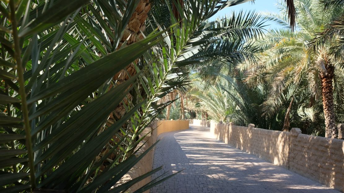 The Al Ain Oasis is now a protected UNESCO site.