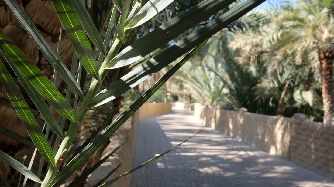 <strong>Al Ain Oasis: </strong>Abu Dhabi's second city Al Ain makes for a refreshing day trip away from the hustle and humidity of the UAE's capital. At its heart is a cool, green oasis. 