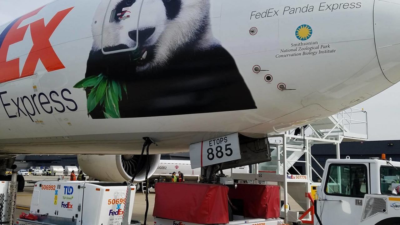 bao bao panda plane external