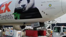 bao bao panda plane external