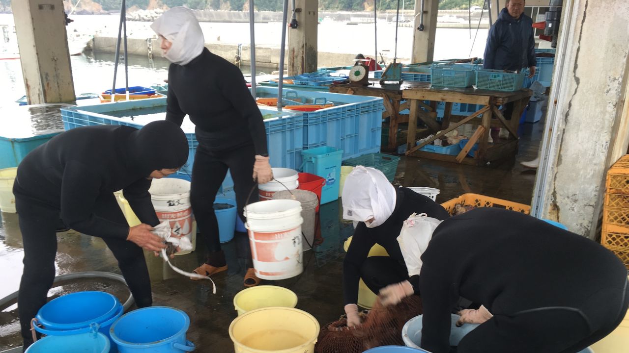 On reaching port the divers haul their buckets to a market where the catch is sorted and weighed.