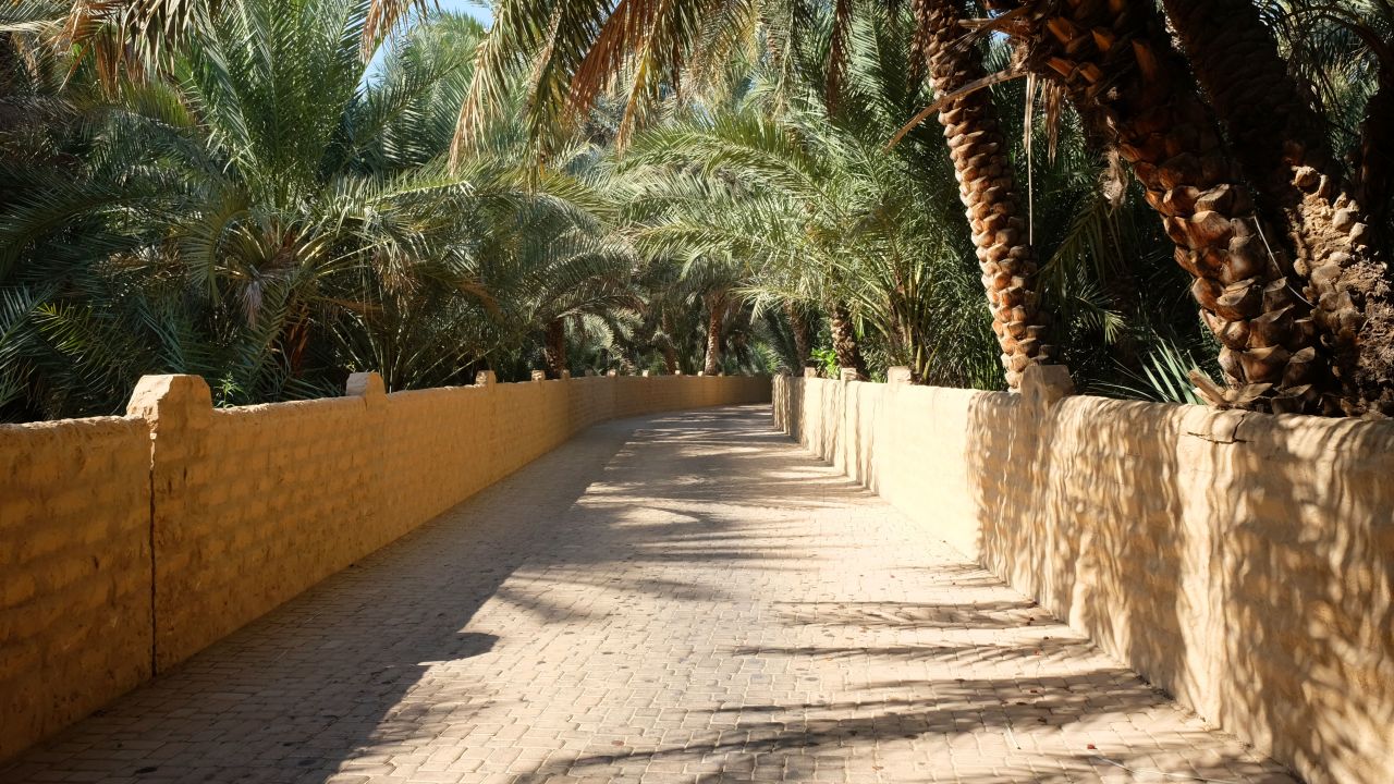 <strong>Leafy lanes:</strong> But the best way to explore is on foot, through the palm-shaded alleyways that criss-cross the greenery.
