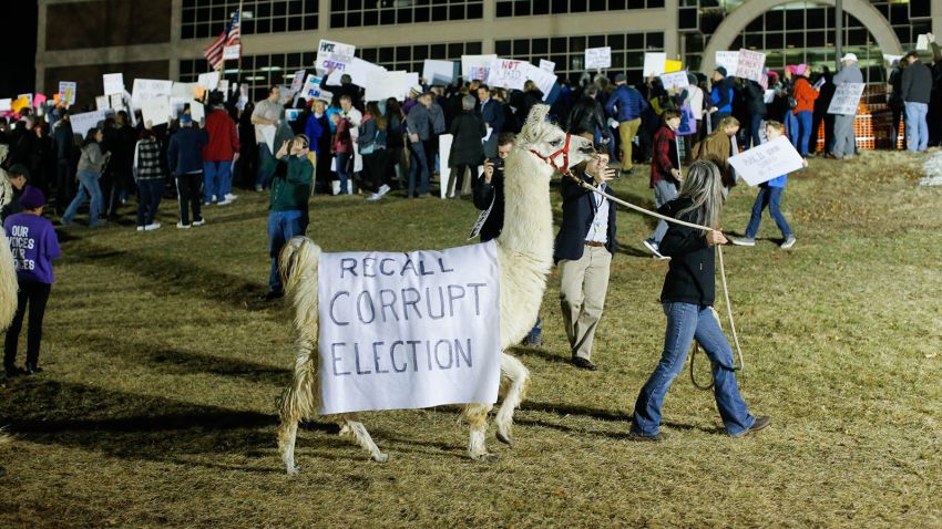A woman walks a llama as people take part in a protest outside Raritan Valley Community College before a town hall  meeting on health care with Republican New Jersey Congressman Leonard Lance on February 22, 2017 in Branchburg, New Jersey.
