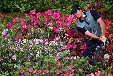 Many of those memorable Masters moments have been framed by the dazzling display the azaleas provide. Rory McIlroy's capitulation in the 2011 tournament, when his four-shot lead on the final day evaporated in the space of three holes, led him deep into azalea territory.