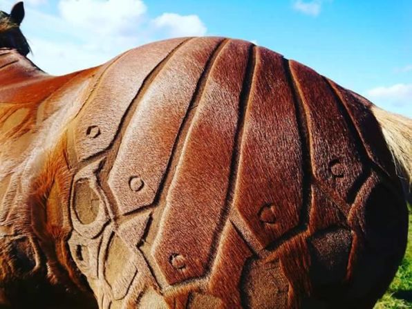 Most of Scott's horses are happy to be clipped, as the process is a regular winter routine. "Some even really enjoy it and make faces or groom me if I reach a tickly or itchy spot," she adds.<br />