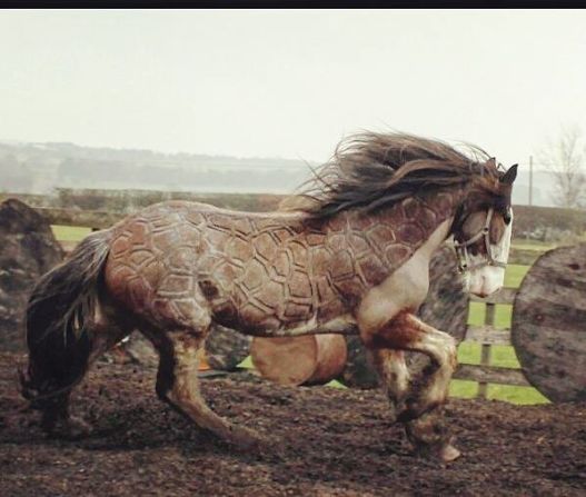 But Scott believes the most important part of her job is calming down the horses which get nervous.
